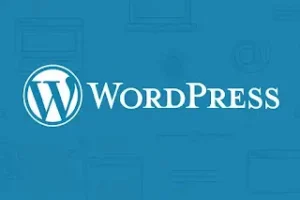 دليل شامل لاختيار Personal Site WordPress Theme ر personal site WordPress theme مع دمج Envato Elements و WP themes وطرق شراء buy WordPress theme بشكل آمن.