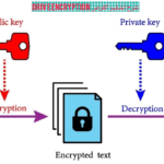 السبت ٦ ١٢ ٢٠٢٥ ٢٣ ٠٥ ٣١