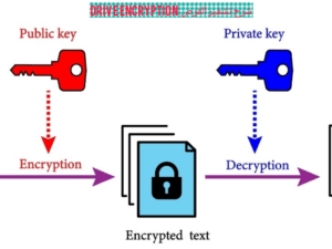 السبت ٦ ١٢ ٢٠٢٥ ٢٣ ٠٥ ٣١