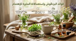 فوائد البردقوش واستعمالاته المثيرة للإهتمام